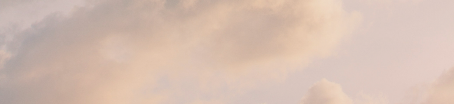 The Weekly Soft Drop